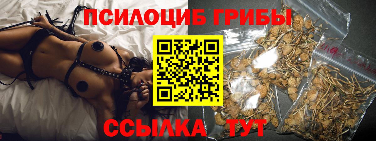 Псилоцибиновые грибы Magic Shrooms Клинцы