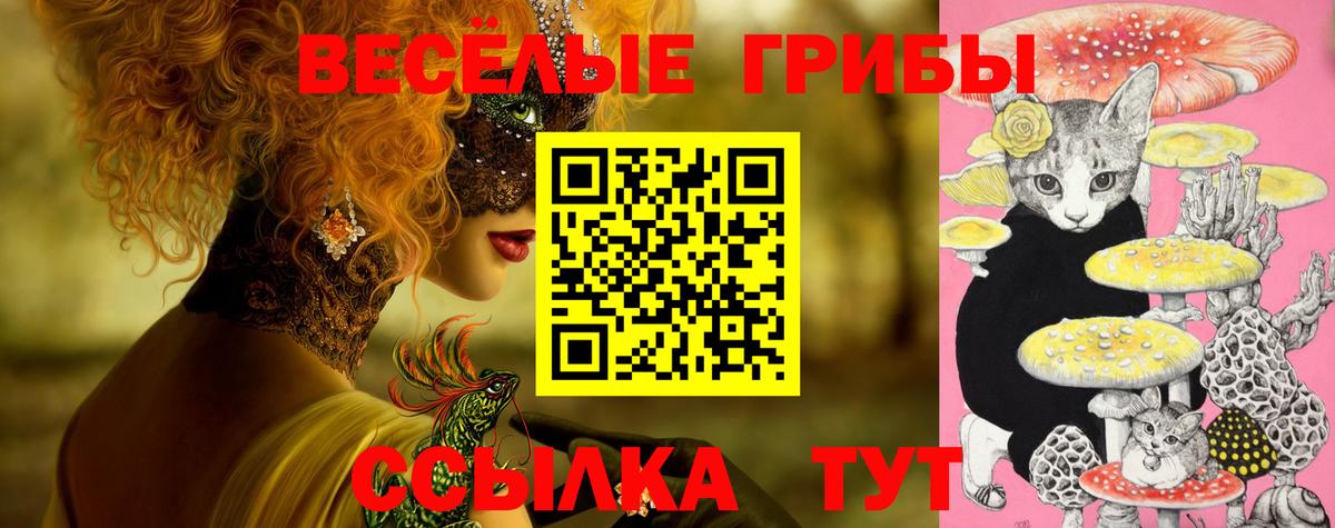 где купить наркоту  Псилоцибиновые грибы Psilocybe  Вход с VPN  Клинцы 